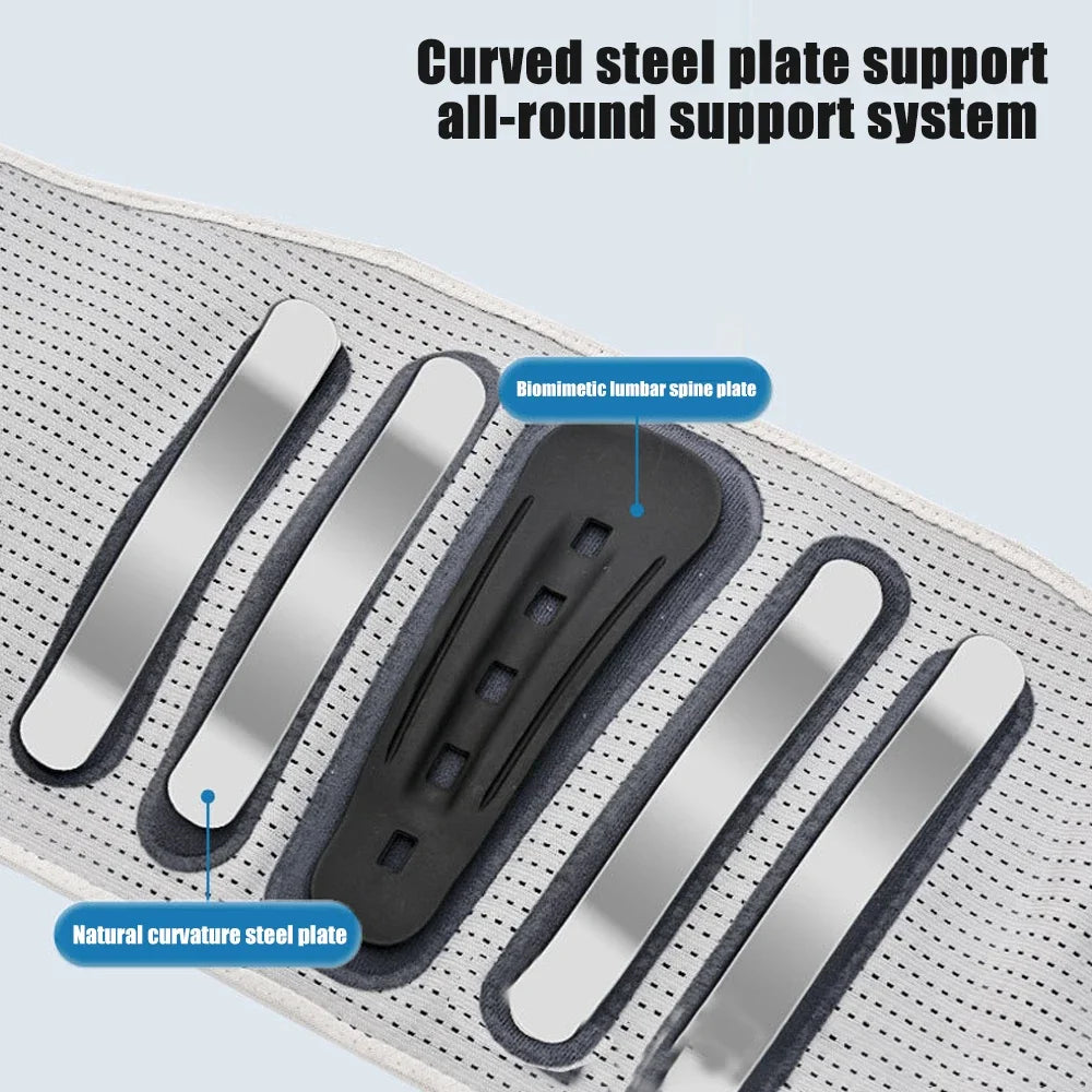 Adjustable Waist Support with Ergonomic Lumbar Pad for Spinal Alignment Sciatica Scoliosis and Herniated Discs - for Men & Women